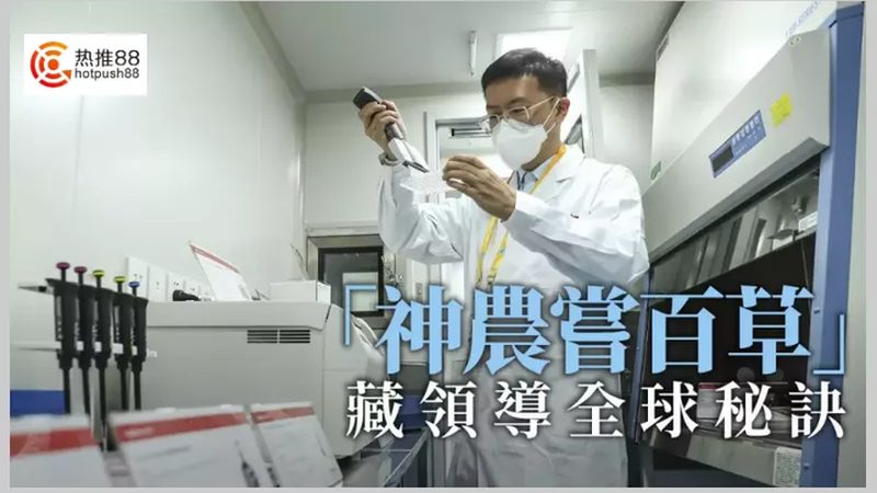 生物类似药CDMO开发总费用：揭秘成本构成与影响因素