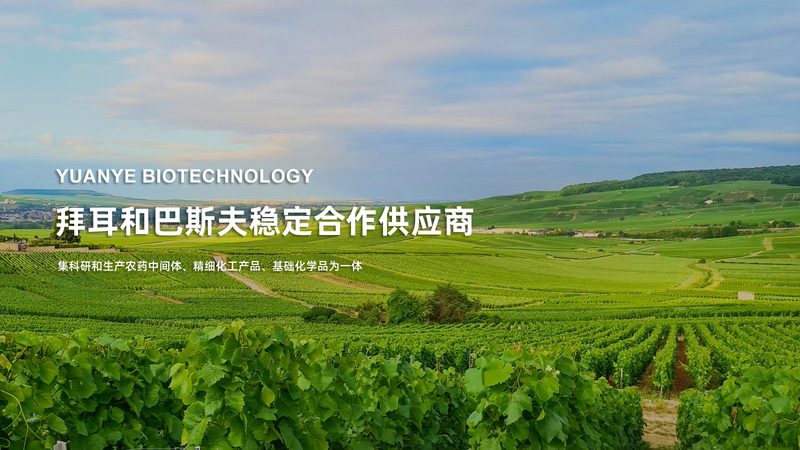 引物合成与HPLC纯化：揭秘精准合成背后的技术奥秘**