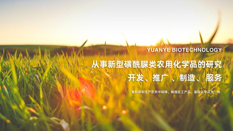 基因测序定制化流程：揭秘精准医疗的幕后步骤