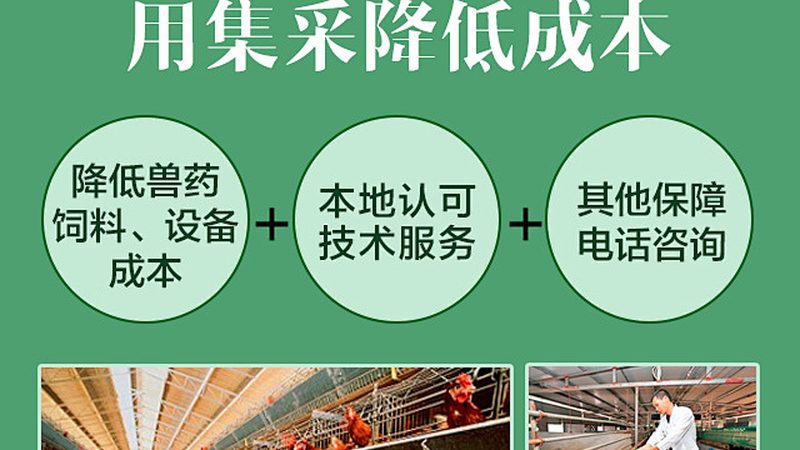 CRO临床代理加盟，揭秘背后的加盟条件与考量