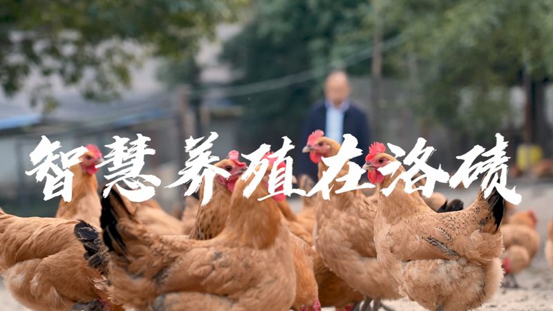 PCR实验室设备配置清单：构建精准检测的基石