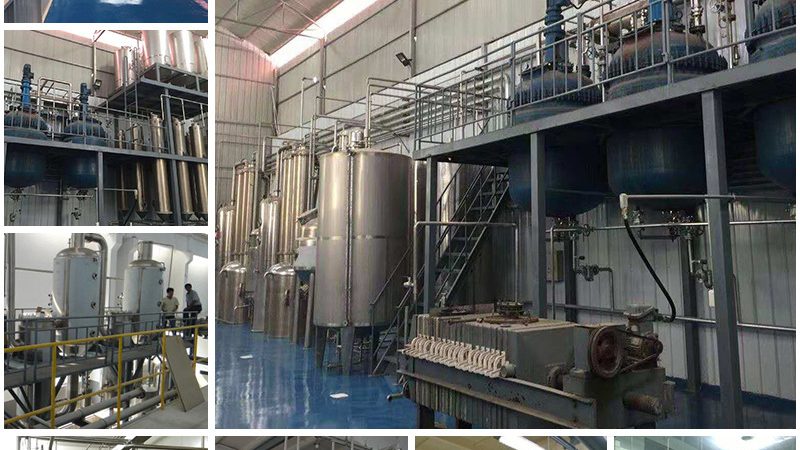 肿瘤靶向基因检测与化疗基因检测区别